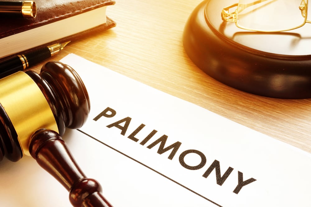 What is the difference between palimony and alimony, and how does it affect my rights to support?